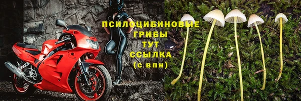 дурь Армянск