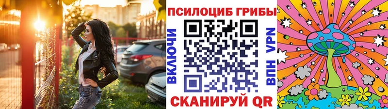 Псилоцибиновые грибы мухоморы  Купить закладки  Могоча 
